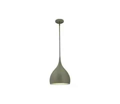 Svietidlá Westinghouse 6329340 - Závesný luster na lanku URBAN 1xE27/60W/230V 6329340