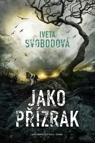 Detektívky, trilery, horory Jako přízrak - Iveta Svobodová