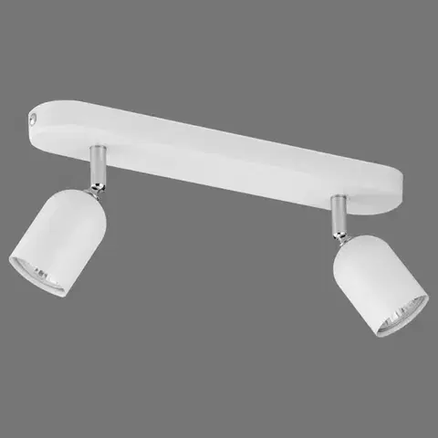 Lampy do obývačky Stropné bodové svietidlo Top White 4412 LS2
