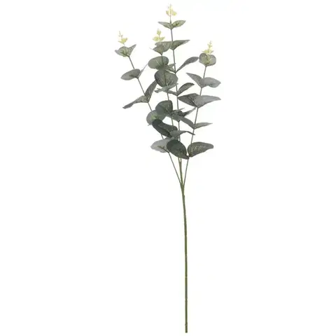 Záhradné dekorácie Eukaliptus 70cm
