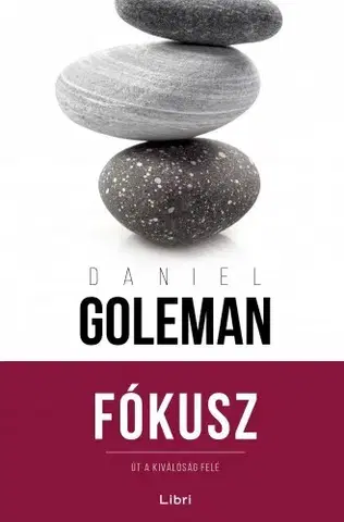 Rozvoj osobnosti Fókusz - Daniel Goleman