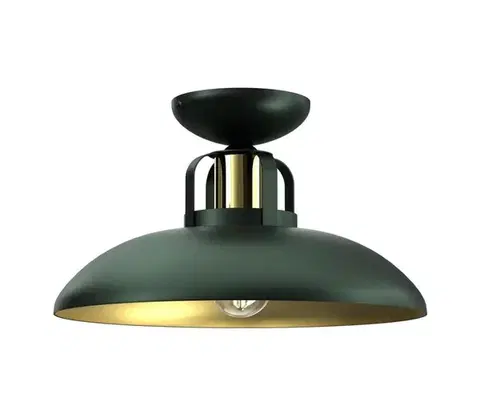 Svietidlá  Prisadený luster FELIX 1xE27/60W/230V zelená MLP7708