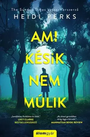 Detektívky, trilery, horory Ami késik, nem múlik - Heidi Perksová