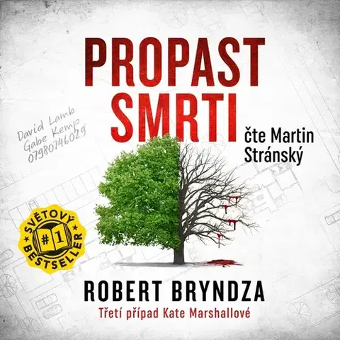 Detektívky, trilery, horory Cosmopolis Propast smrti