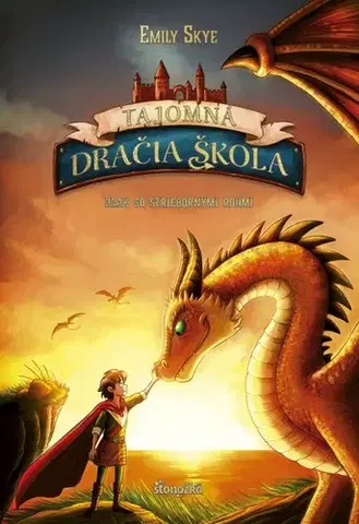 Fantasy, upíri Tajomná dračia škola 2: Drak so striebornými rohmi - Emily Skye,Pascal Nöldner,Denisa Stareková