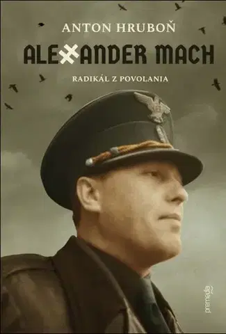 Politika Alexander Mach - Anton Hruboň