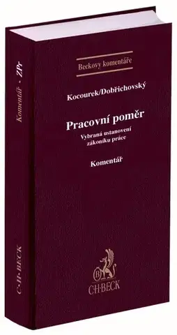 Právo ČR Pracovní poměr - Kolektív autorov