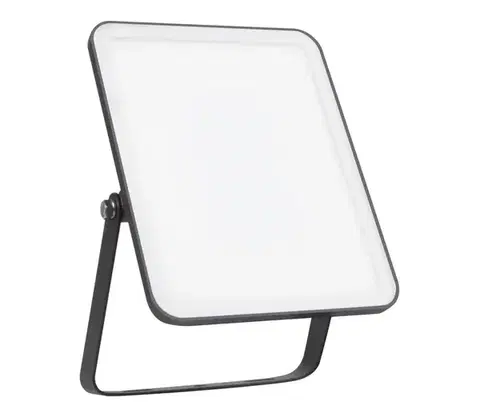 Svietidlá Ledvance - LED Vonkajší reflektor FLOODLIGHT ESAL LED/30W/230V IP65 4099854094521