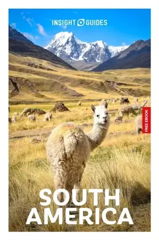 Geografia, mapy, sprievodcovia Insight Guides South America: Travel Guide with eBook - Robert Savage