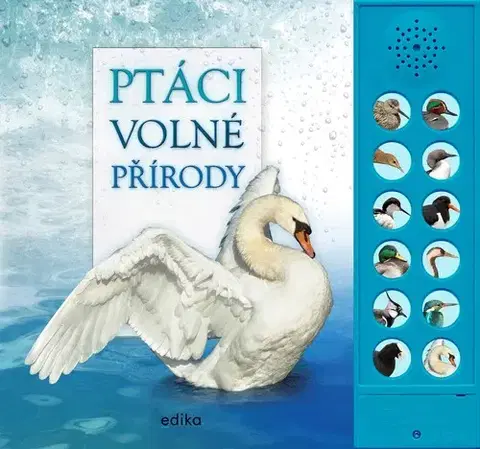 Zvukové knihy Ptáci volné přírody - Andrea Pinnington,Caz Buckingham
