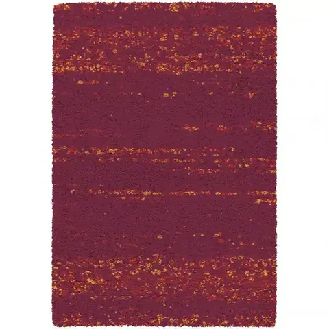 Moderné koberce Koberec Shaggy Sherpa 0,8/1,5 52602 120