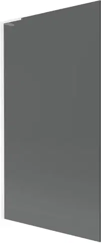 Sprchové dvere MEXEN/S - Next L vaňová zástena FIX 100 x 150, grafit, biela 895-100-000-03-40-20