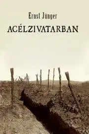 Historické romány Acélzivatarban - Ernst Jünger