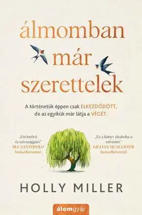 Romantická beletria Álmomban már szerettelek - Holly Miller