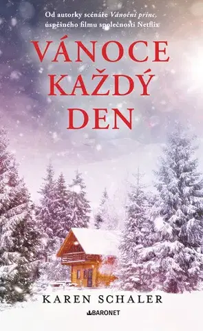 Romantická beletria Vánoce každý den - Karen Schaler
