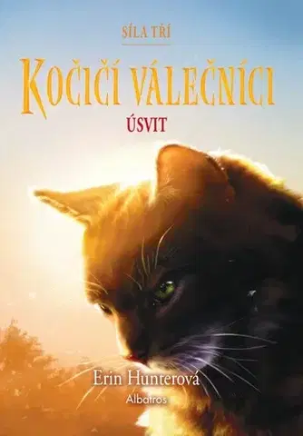 Young adults Kočičí válečníci: Síla tří (6) – Úsvit - Erin Hunterová