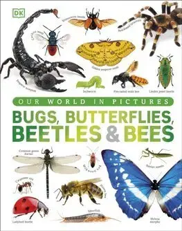 Príroda Our World in Pictures Bugs, Butterflies, Beetles and Bees - Ben Ffrancon Dowds,Andrea Mills,Lizzie Munsey