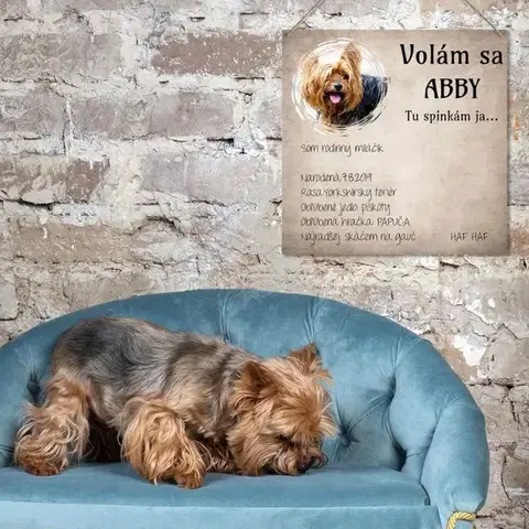 Tabuľky s venovaním (darčeky) Obraz na stenu - Meno pre psa na tabuľke s fotkou