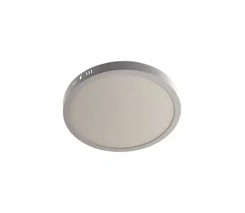 Svietidlá  LED Stropné svietidlo GERRIT LED/24W/230V 4000K biela SKU008382