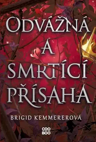 Fantasy, upíri Odvážná a smrtící přísaha - Brigid Kemmerer,Magdaléna Farnesi