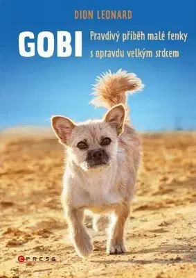 Romantická beletria Gobi - Dion Leonard