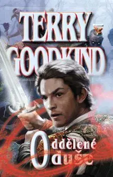 Sci-fi a fantasy Meč pravdy 14 - Oddělené duše - Terry Goodkind