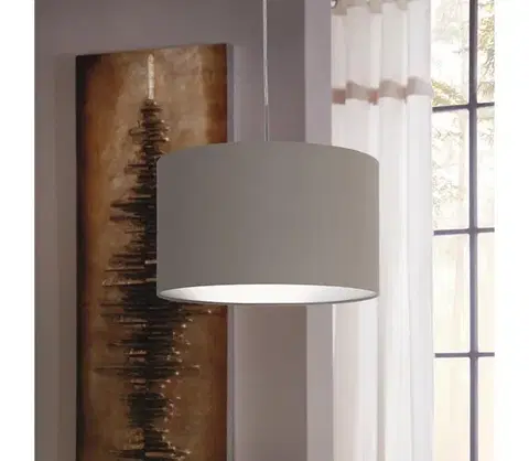 Svietidlá Eglo 31572 - Luster na lanku PASTERI 1xE27/60W/230V 31572