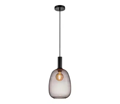 Svietidlá Nordlux - Luster na lanku ALTON 1xE27/60W/230V čierna 47303047