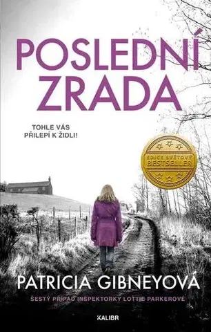 Detektívky, trilery, horory Poslední zrada - Patricia Gibney
