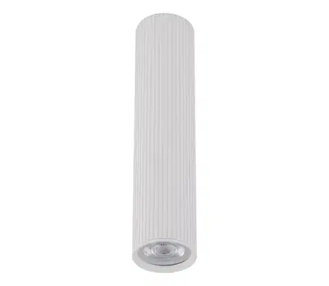 Svietidlá  Bodové svietidlo TUNE L 1xGU10/10W/230V 24 cm biele 10027