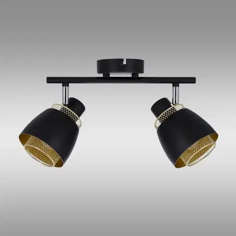 Lampy do obývačky Stropné bodové svietidlo Aleksandria 92-13743 LS2