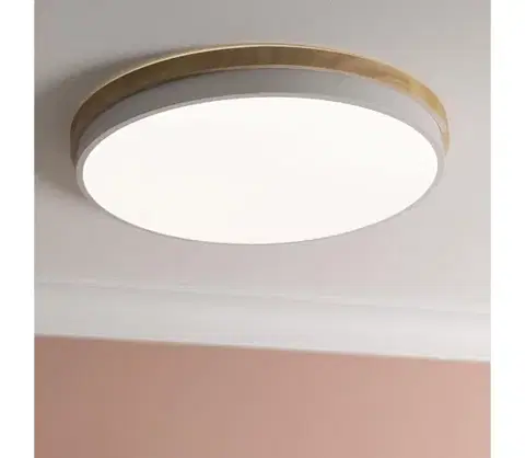 Svietidlá Brilliant - LED St. stropné svietidlo BAARLO LED/36W/230V pr. 50 cm biela + DO G80846/75