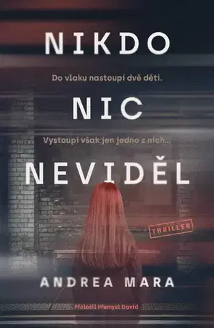 Detektívky, trilery, horory Nikdo nic neviděl - Andrea Mara,Přemysl David