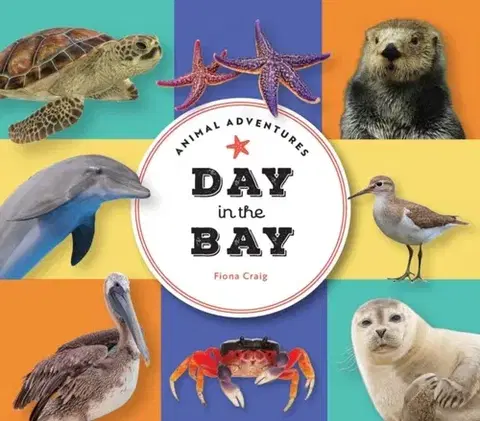 Leporelá, krabičky, puzzle knihy Animal Adventures: Day in the Bay - Fiona Craig