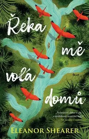 Historické romány Řeka mě volá domů - Eleanor Shearer
