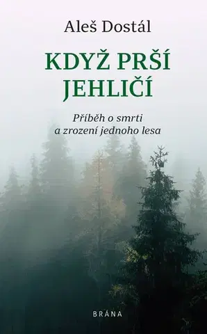 Česká beletria Když prší jehličí - Aleš Dostál
