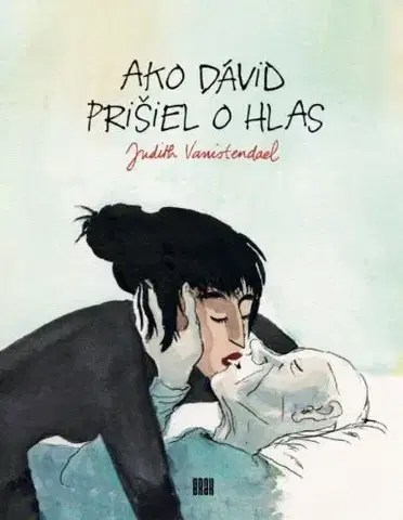Komiksy Ako Dávid prišiel o hlas - Judith Vanistendael