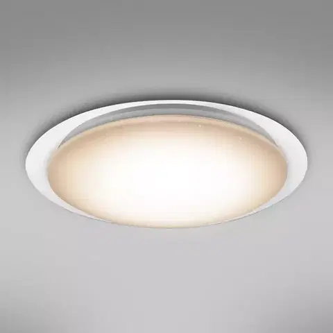 Lampy do obývačky Stropná lampa 41310-60 LED 55cm