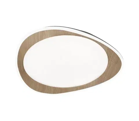 Svietidlá Rabalux 2427 - LED stropné svietidlo TAMINO LED/24W/230V 2427