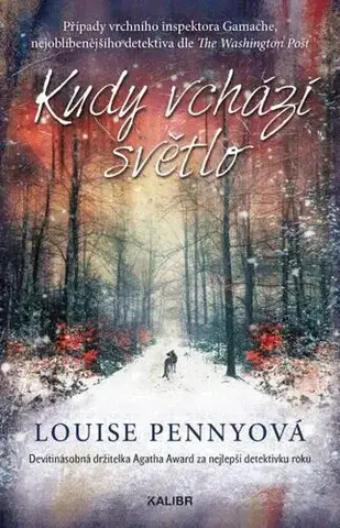Detektívky, trilery, horory Kudy vchází světlo, 2. vydání - Louise Penny
