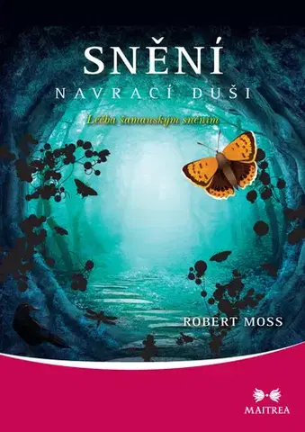 Náboženstvo - ostatné Snění navrací duši - Robert Moss