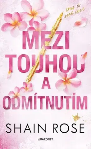 Romantická beletria Mezi touhou a odmítnutím - Hardy Billionaire Brothers 4 - Shain Rose,Zuzana Ľalíková