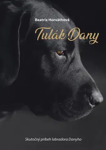 Slovenská beletria Tulák Dany - Beatrix Horváthová