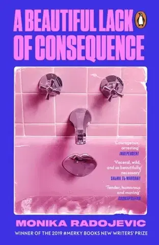 Novely, poviedky, antológie A Beautiful Lack of Consequence - Monika Radojevic