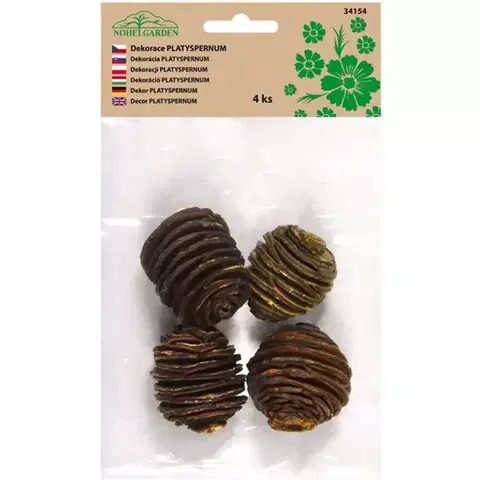 Bytové dekorácie Dekorácie sušiny platyspernum small prírodné 4ks