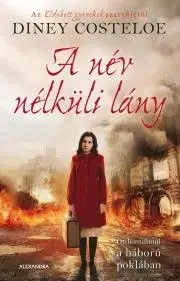 Historické romány A név nélküli lány - Diney Costeloe