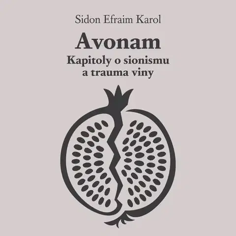 História Tympanum Avonam: Kapitoly o sionismu a trauma viny