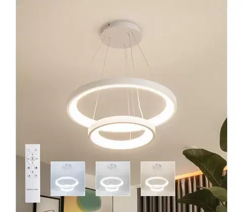 Svietidlá BRILAGI - LED stmievateľný luster na lane FALCON SLIM LED/68W/230V pr. 50 cm biela + DO BRDX1330-2/BI