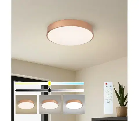 Svietidlá BRILAGI - LED Stmievateľné stropné svietidlo POOL LED/48W/230V priemer 40 cm bronzové + diaľkový ovládač BRI1021