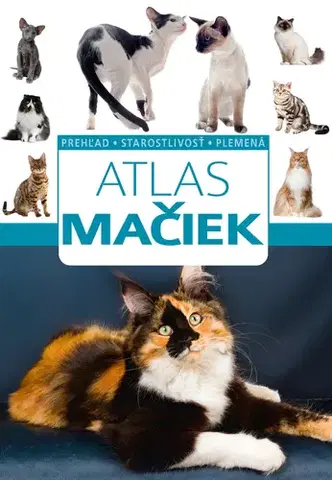 Mačky Atlas mačiek